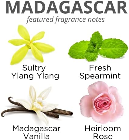 Светла вода бања и тело Мадагаскар: Иланг Иланг, Роуз, Ванила и Спирминт Ароматерапија соја свеќа | Есенцијални масла од терапевтско