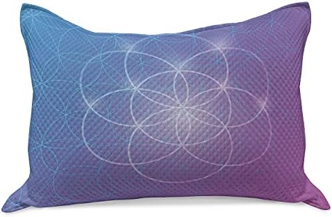 Геометрија на Амбесон Геометрија плетена ватенка перница, тркалезни форми во 2 димензионална вселенска оска Историска артефактна слика, стандардна
