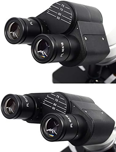 Премиум двогледен микроскоп - конечен корегиран оптички систем, LED осветлување - 4x, 10x, 40x и 100x масло - 30 ° наклонет SiedEntOPF