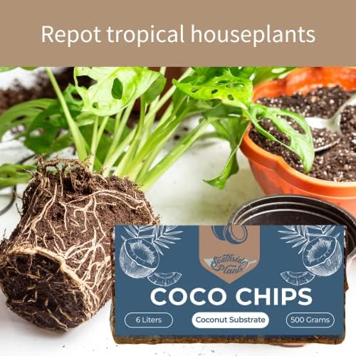 Јужни растенија Коко чип Среден кокос подлога за градинарски сад за почва - органска и еко -пријателска тула од 1,1 lb за раст на