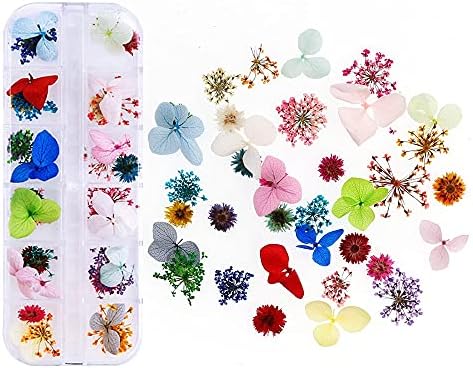 Ttndstore измешајте бои сушен цвет цвет за украси за уметност на нокти мешани природни цвеќиња за нокти суви цветни украси додатоци